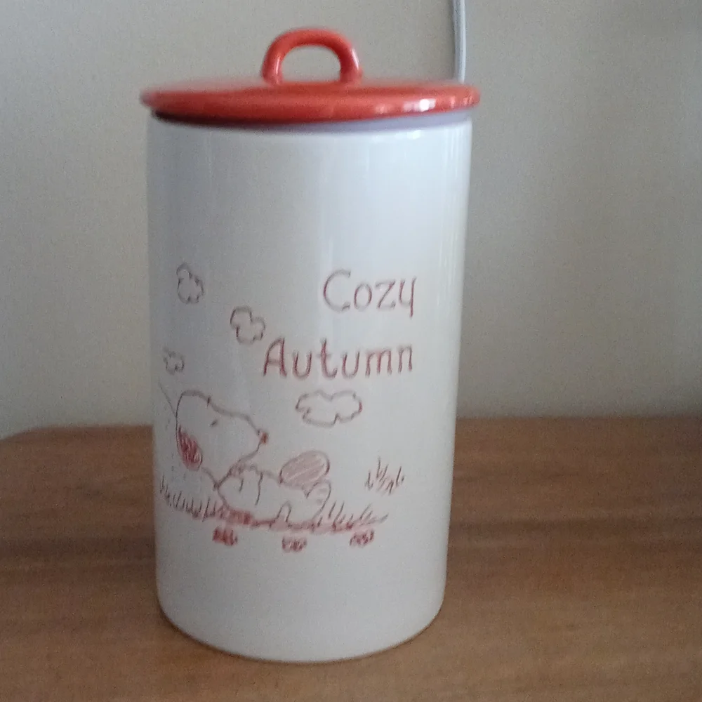 Snoopy fall canister